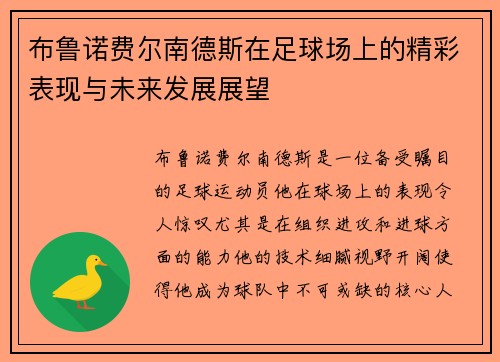 布鲁诺费尔南德斯在足球场上的精彩表现与未来发展展望