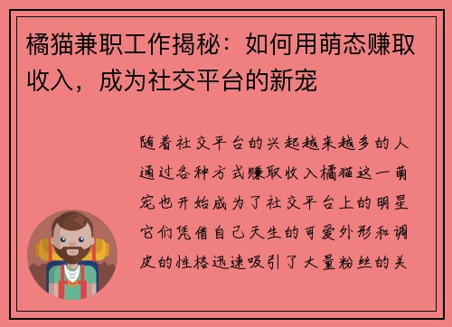 橘猫兼职工作揭秘：如何用萌态赚取收入，成为社交平台的新宠